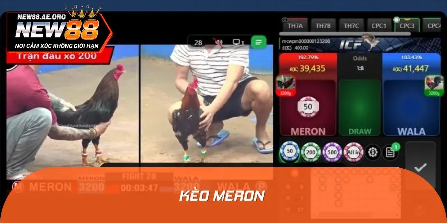 Cược Meron phù hợp với người chơi thích thử thách, mạo hiểm