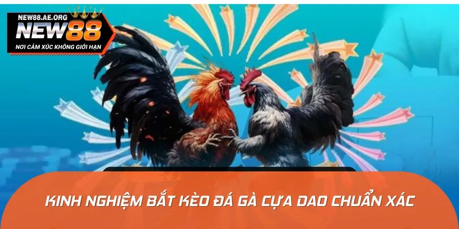 Đặt kèo cựa dao bất bại nhờ những mẹo cược chuẩn chuyên gia