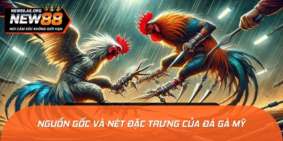 Một vài thông tin sơ lược giới thiệu sân chơi đá gà Mỹ