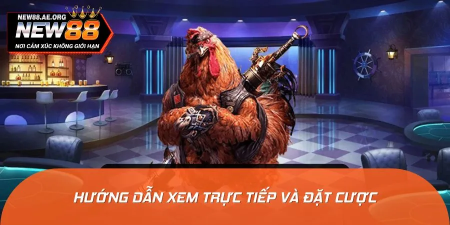 Thực hiện đặt cược tại sảnh đấu theo hướng dẫn