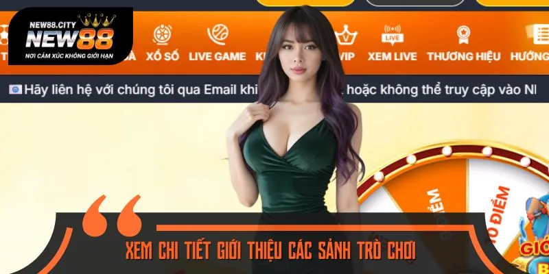 Những sảnh cược nổi bật và thịnh hành