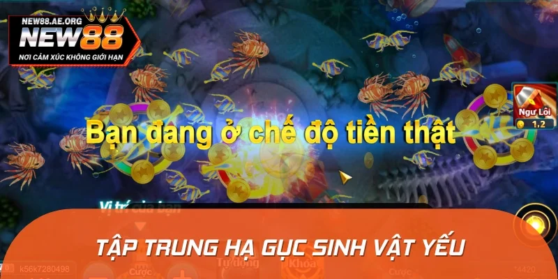 Nên tập trung diệt gọn sinh vật có máu yếu